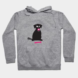 Black labrador with rubber teat Hoodie